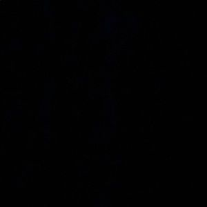 Meet your Posher, Raphael